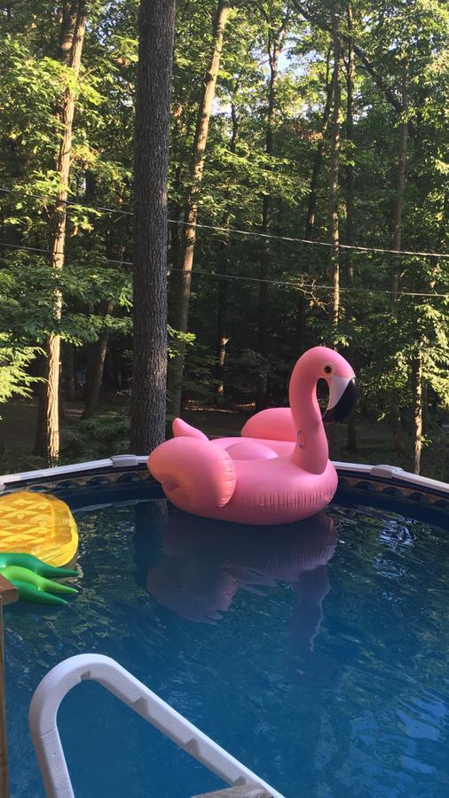 Pocono Cabin With Private Pool At Shawnee Mtn East Stroudsburg Ngoại thất bức ảnh