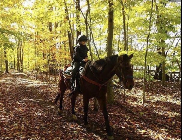 Pocono Cabin With Private Pool At Shawnee Mtn East Stroudsburg Ngoại thất bức ảnh